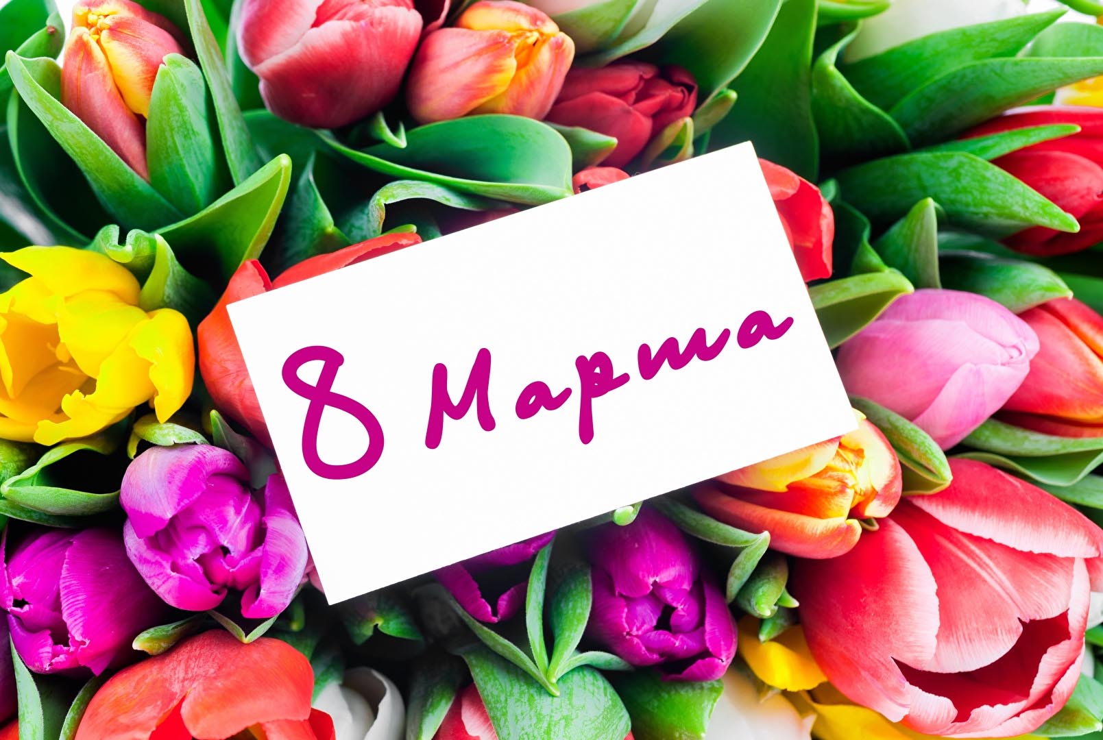 С 8 марта!